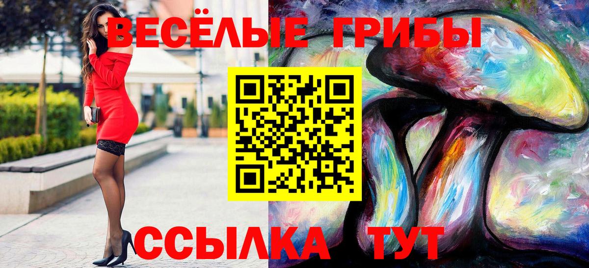 Кандалакша  Галлюциногенные грибы GOLDEN TEACHER  Псилоцибиновые грибы Cubensis  Вход с VPN 